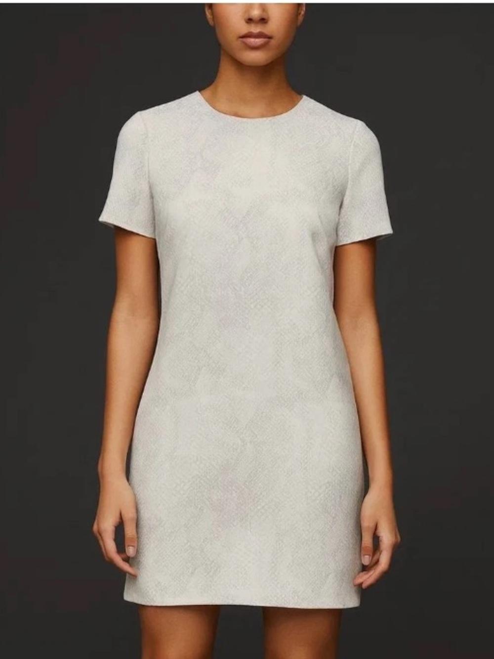 Aritzia Babaton Patricio Snake Print Shift Dress Size 2 Neutral Quiet Luxury Y2K